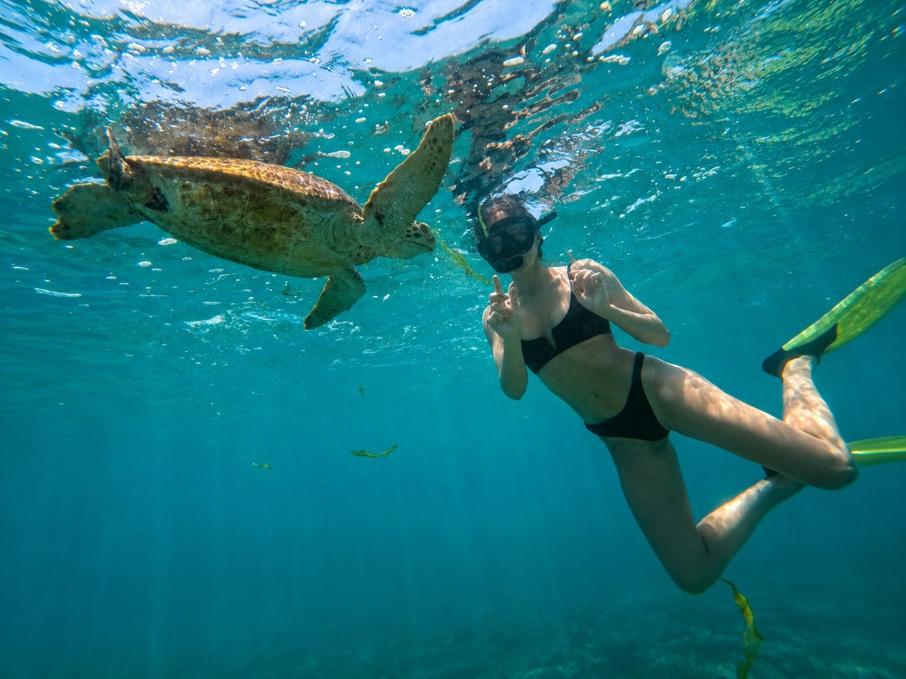 Mirissa Turtle Snorkeling: A Complete Guide